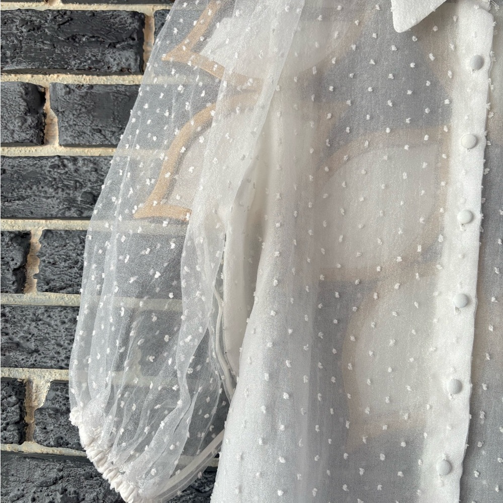 Zara White Sheer Polka Dot Blouse - Picture 5 of 10